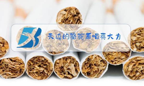 天边的骆驼原唱蒋大为 视频图片